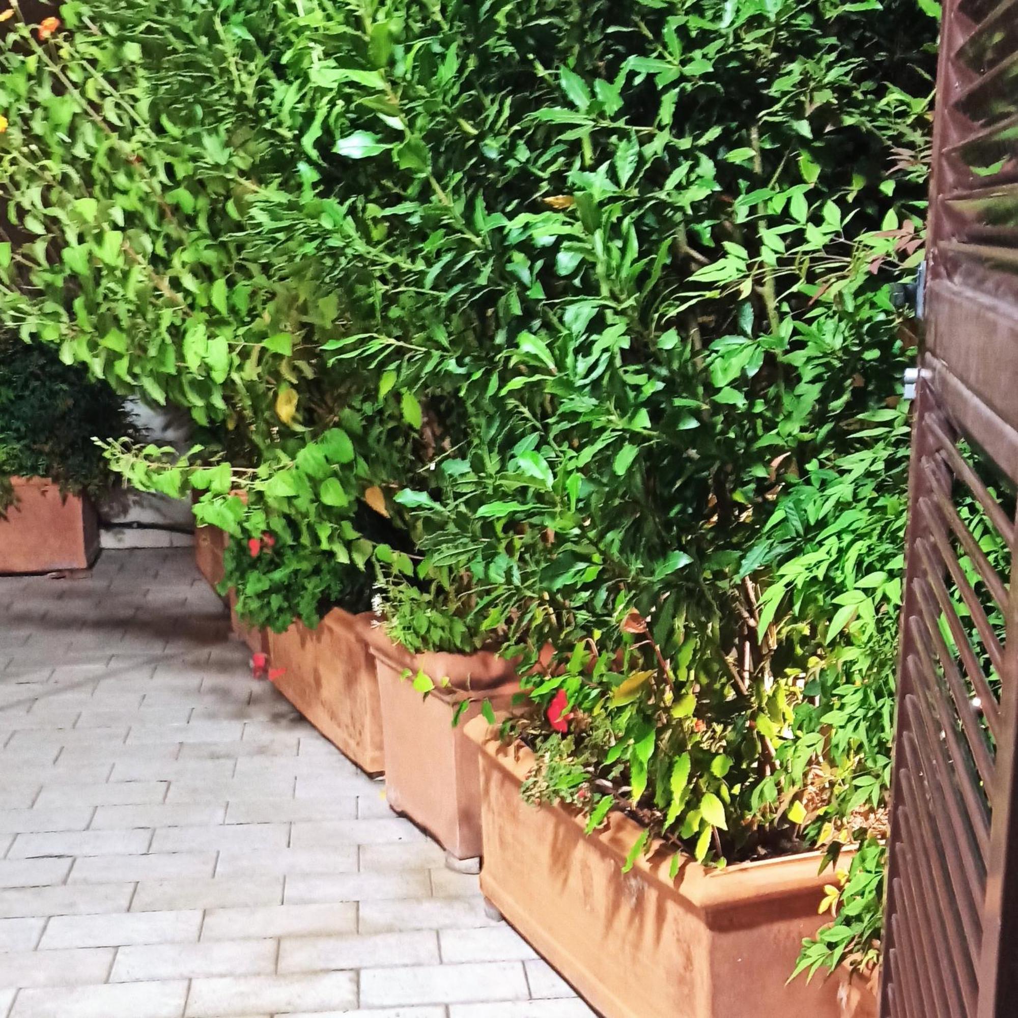 Living By Vatican With Panoramic Terraces In Рим Екстер'єр фото